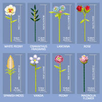 Bloques De Construcción De Bouquet De Flores Eterna Rosa Y Girasol Modelo De Planta Con Vaso Juguete DIY Para Niños Regalos Creativos Decoraciones De Escritorio - details 33