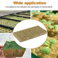 Cubes De Medio De Cultivo De Piedra Ponceada 100/50x Para Cultivo Hidroponico De Semillas Y Plantas Jardín Bloque De Semillero Cultivo Por Inmersión - details 8