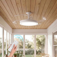 Ventilador de Techo con Luz LED 72W – Motor DC Silencioso – Aspas Retráctiles – 6 Velocidades, Luz Cálida, Día y Fría (3000K-4000K-6000K) – Temporizador – Ø102 cm, Mando Incluido [Clase de eficiencia energética E] - details 12