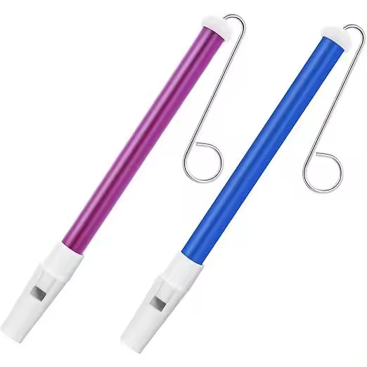 Instrumento musical de flauta deslizante, 2 piezas de flauta deslizante de plástico con Barra de Arce deslizante inexorable, instrument musical profesional para principianttes - 1