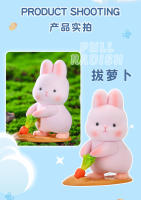 Nueva Caja Sorpresa De Conejo Liuliu Serie De Salidas De Conejo Ornamento Juguete Regalo Figura De Acción De Anime Para Niñas Bolsa Sorpresa Hecha a Mano - details 6