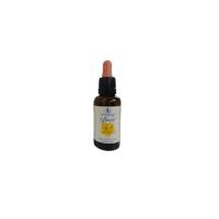 Healing Herbs Rescue Remedy BACH 30mililitros Cinco Flores para Calmar Nervios y Reducir Ansiedad - details 1