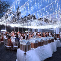 Luces De Cigüeña Solar De 3.5M Con 97LED Para Decoración Exterior De Jardín Fiesta Navidad Guirnalda De Aves De Noche Impermeable - details 5