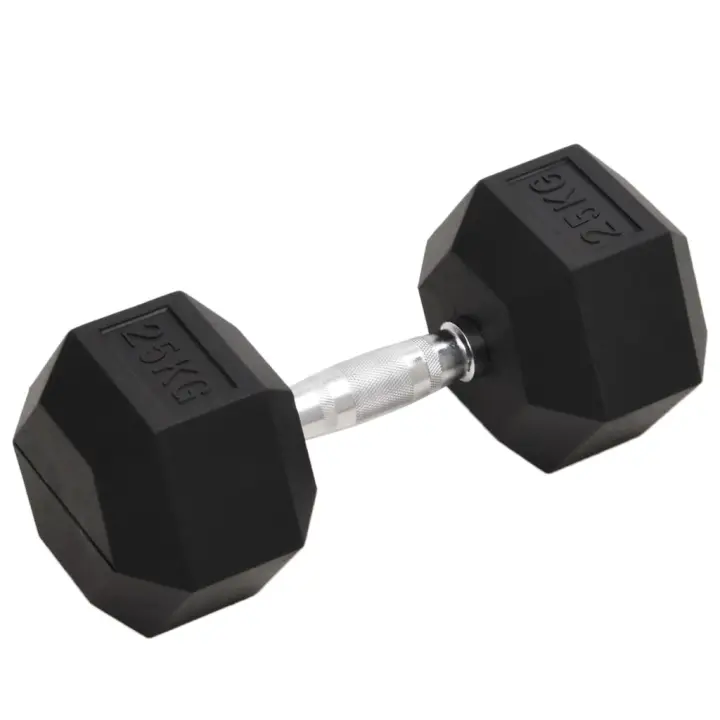 vidaXL Mancuerna hierro fundido 25 kg - 1