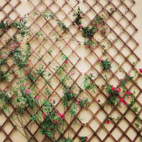 Trellis De Madera Expansible Para Jardín Soporte Para Plantas Climáticas Aluminio Soldado Cada Pieza Se Expande Hasta 200cm X 30cm - details 5