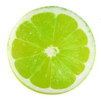Cojines Redondos Para Sillas Cómodos Almohadillas De Asiento Estilo Moderno Con Patrón De Jardín De Frutas Divertidas Para Comedor Al Aire Libre - details 27