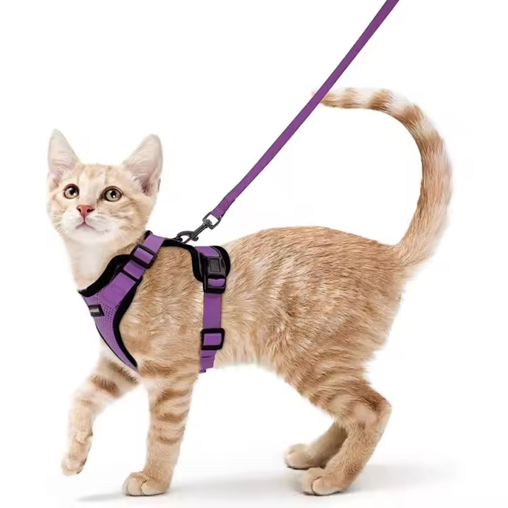 Arnés para gatos Correa para perros pequeños Arnés ajustable para gatitos Púrpura - 1