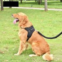 Arnés Ajustable Reflectante Talla L + 1 Guante de Aseo para Perros y Gatos - Accesorio para Mascotas - details 2