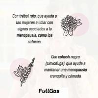 FullGas Sport MenoPlus 60 cápsulas | Apoyo Natural para la Menopausia | Con Isoflavonas de Soja, Ashwagandha y Vitaminas - details 1