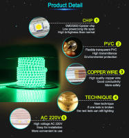 Tira LED Flexible RGB 5050 220V Luz Exterior Impermeable IP67 60leds/m Con Enchufe 5M/10M/15M Para Decoración De Hogar Y Jardín - details 11