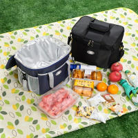 Bolsa De Almuerzo Aislada Reutilizable Y Congeladora Para Oficina Escuela Pícnic Playa Con Correa De Hombro Ajustable Apta Para Niños/Adultos - details 3