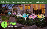 Lámpara Solar De Flores De Orquídea Con 7 Cabezas Para Decoración De Jardín Patio Camino Puerta Exterior Impermeable Luz De Paisaje Moderna - details 7