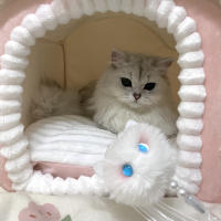 Juguete Interactivo Divertido Para Gatos Kawaii Peluche Con Cola De Borla Y Cinta Telescopio Para Juguete De Gato Para Gatitos Mando a Distancia Juguetes Para Gatos - details 3