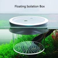 Caja De Cría De Peces Flotante En Acrílico Acuario Incubador De Alimentos Accesorio Para Acuario Material Plástico - details 0