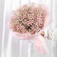 3/5/10pcs Flores Artificiales De Gypsophila Para Arreglo De Bodas Decoración Del Hogar DIY Flores Falsas Para Bouquets - details 1