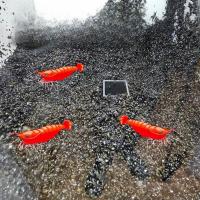 Cueva De Peces Tubo De Pasaje Plástico Para Tanque De Peces/Aquario De Langosta Zona De Juego Y Descanso - details 4