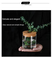 Maceta Creativa Para Plantas Hidroponicas Miniatura En Vidrio Transparente Decorativa Para Casa Y Salon Uso En Mesas - details 10