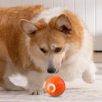 Bola Inteligente Para Perros Juguetes Electrónicos Interactivos Moverse Automáticamente Saltar Y Rodar Para Puppies Regalo De Cumpleaños Para Perros Y Gatos - details 4