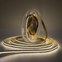 Tira De Luces LED Flexible 5M 12V 24V SMD 2835 240 LEDs/m Alta Densidad 10mm PCB 3000K 6000K Blanco Cálido Y Frío LED Tape Lámpara - details 0