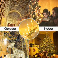 Luces De Navidad LED De 3-100M Para Interior Y Exterior Garland De Luces Para Bodas Árboles Y Fiestas De Vacaciones Decoración Con Pilas USB O Enchufe Multicolor Blanco Cálido Azul - details 2