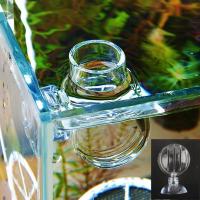Tazón De Alimentación Para Peces Y Acuarios Taza De Vidrio Transparente Para Brine Shrimp Cucarachas Rojas Y Alimentos Para Peces - details 8