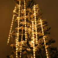 Luces De Lluvia De Meteoros LED Para Decoración De Navidad Y Fiestas Colgante De Hidrocaliza EU Enchufe 30CM/50CM Para Patio - details 10