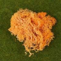 1Pc Moss Artificial De Colores Naturales Para Decoración De Joyería Jardín Y Epoxy Resina Decorativa Para Mesa - details 14