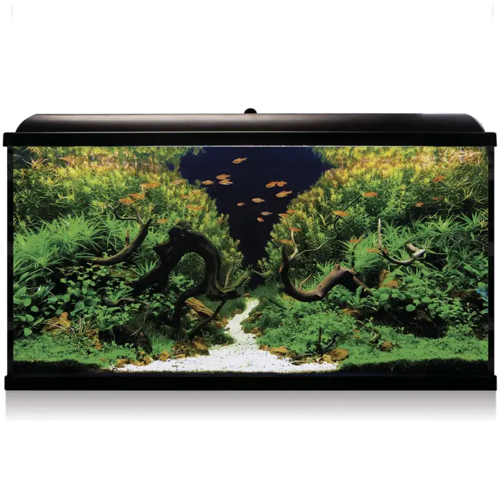 Kit AQUA LED PRO 300 con filtro exterior - AQUA LED PRO  negro Acuariofilia - 1
