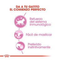 Precio Especial por Caducidad 28/8/2025 - 12 x 85 g |Royal Canin Kitten paté sobre para gatos - details 2