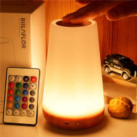 Lámpara De Mesa Cambio De Color 13 RGB Control Remoto Toque Dimmable Portátil Lámpara De Noche USB Recargable Luz De Mesa Para Cama - details 5