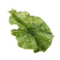 Simulación Hojas De Lechuga Verde Falsa Vegetal Modelo Realista Adorno De Lechuga Decoración Para Restaurante Y Ventanas De Tienda - details 0