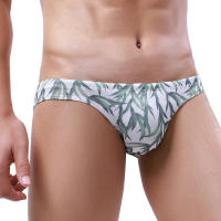 Bikini De Verano Para Hombres Briefs De Natación Sexy Surf Rápidamente Secos Trajes De Baño Cortos De Playa Moda Masculina - details 4