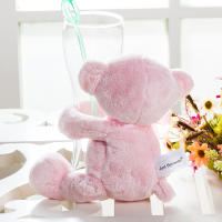 Oso De Peluche Grande Para Bebé En Rosa / Azul / Blanco Suave Y Suave 10 Pulgadas Para Niños Y Adultos - details 5