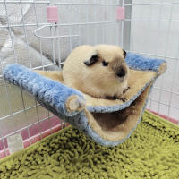 Nido Colgante De Dos Capas Para Invierno Cálido Para Ratinos Y Cochinillos Saco De Dormir Hamaca Para Hamsters Mascotas - details 1