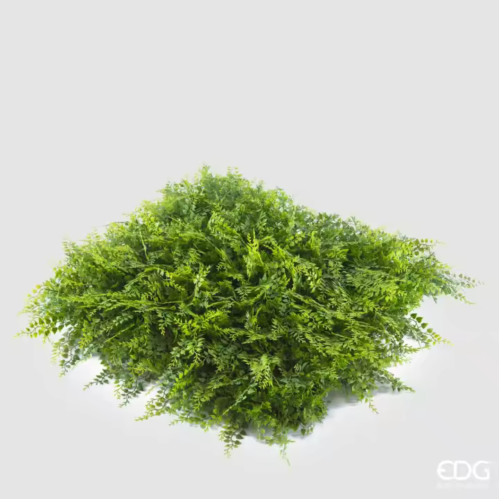 EDG Enzo De Gasperi Helecho 1x1 Mt Color Verde - 1