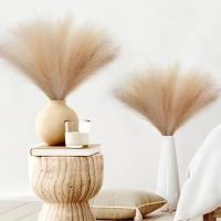 15pcs Arreglo De Pampas De Juncos Artificiales Para Decoración De Hogar Y Bodas Flores Silken Para Vaso Decoración De Dormitorio Y Fiesta DIY - details 2