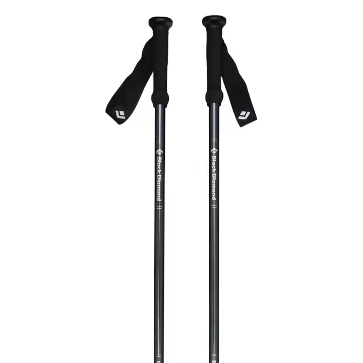 Black Diamond Bastones Explorer 2 Negro Unisex - 1