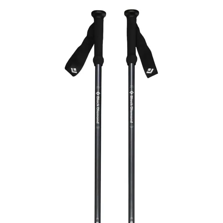 Black Diamond Bastones Explorer 2 Negro Unisex - 1