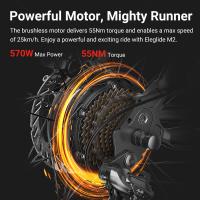 Bicicleta Eléctrica Tipo Moped Eleglide M2 de 27" 250W Motor 36V 15Ah Batería 125km Alcance Máximo Frenos de Disco Hidráulicos Pantalla LCD Inteligente Aplicación Inteligente, Suspensión Premium con Bloqueo, 24 Marchas - Negro - details 5