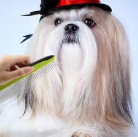 Green Meadow -peine para mascotas, peine quitanudos para perros, aguja de acero - details 3