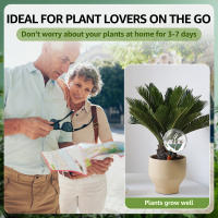Bulbos De Riego Automático Para Plantas 500ml Globos De Vidrio Inserto De Plantador Sistema De Riego Por Drip Effortless Self Watering Device - details 3