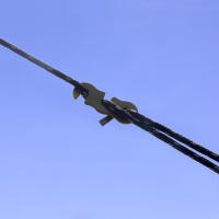 Alta Calidad Cierre De Aluminio Para Cordón De Viento Con Gancho S Para Acampar Y Senderismo Al Aire Libre Estopilla De Tenda - details 3