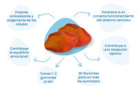 NEO - Melisa, Rodiola, Azafrán y Gaba - 36 Gummies - Bote 1 Mes - Favorecen la Relajación, el Descanso Óptimo y Reducir el Estrés - Antiestres Gummies - details 2