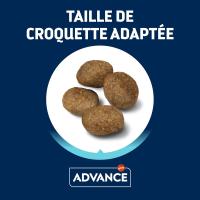 Advance Medium Maxi Sensitive Lamb, Pienso para Perros de Razas Medianas y Grandes con Sensibilidades Digestivas con Cordero, 12kg - details 2