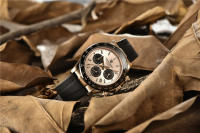 Reloj De Cuarzo PAGANI DESIGN Para Hombre Reloj De Pulsera Deportivo De Lujo Automático Con Fecha Impermeable Y Cronógrafo Dorado - details 15