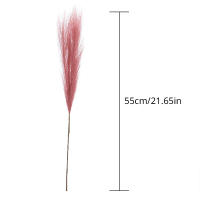 10Pcs 55cm Mini Pampas Sintética Hierba Artificial Planta Falsa Rama De Juncos Para Decoración De Hogar Sala De Estar Cocina Bodas Estilo Boho - details 0