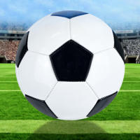 Pelota de playa inflable para entrenamiento de fútbol, impermeable, para práctica de juego - details 5
