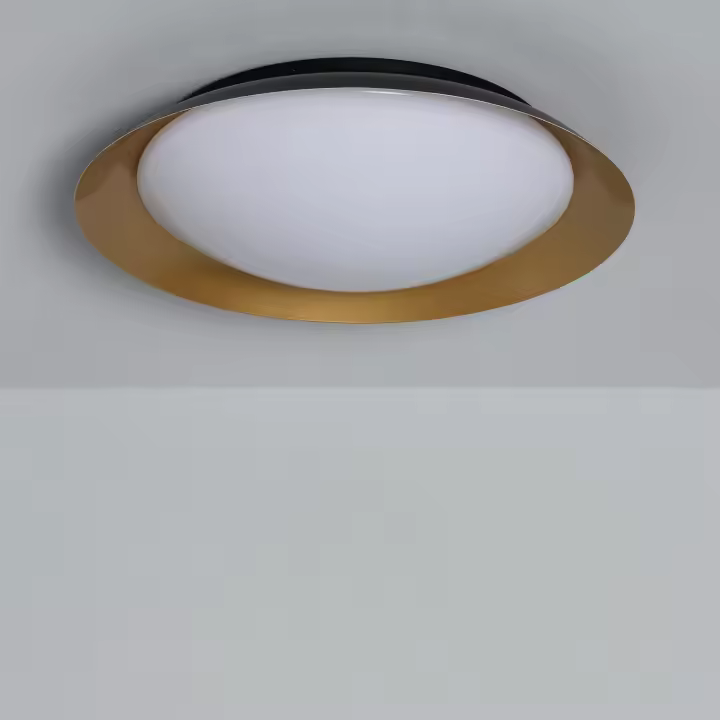 Ledkia Plafón LED 30W Circular Metal Ø500 mm CCT Seleccionable Taylor - 1