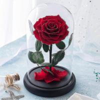 Preserved Real Rose Eternal Rose In Glass Dome Gift para ella Acción de Gracias Navidad Día de San Valentín Cumpleaños Día DE LA Madre (Rojo) bebetter - details 0