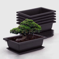 Juego De 5 Macetas Rectangulares Para Suculentas Y Bonsái Contenedor De Flores Plástico Blanco Y Azul Para El Hogar - details 6